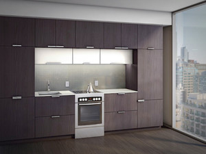 Inside a Pace condo kitchen