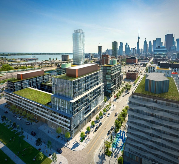 Canary Commons Phase 4 – photo 1